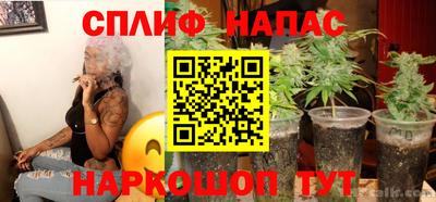 гидропоника Тверь