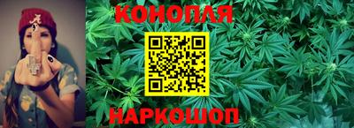 прущие грибы Тара