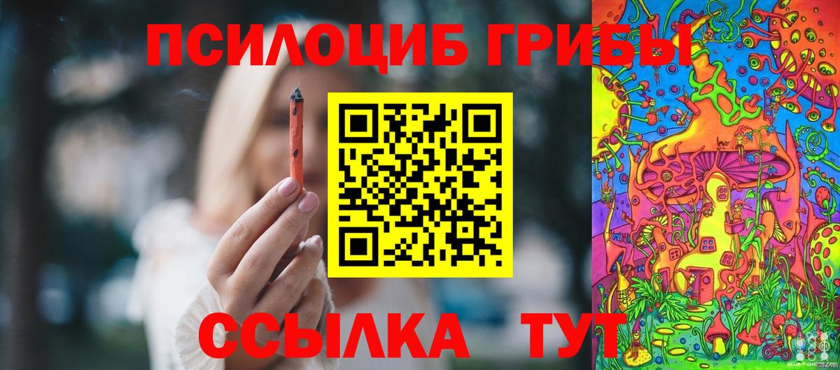 Галлюциногенные грибы Psilocybe  Вход с VPN  Отрадный  Галлюциногенные грибы Cubensis 